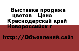 Выставка продажа цветов › Цена ­ 1 - Краснодарский край, Новороссийск г.  »    